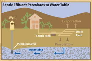 septic system