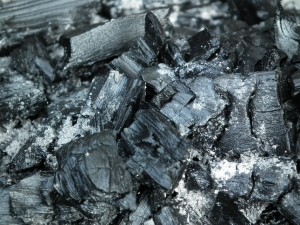 coal ash selenium